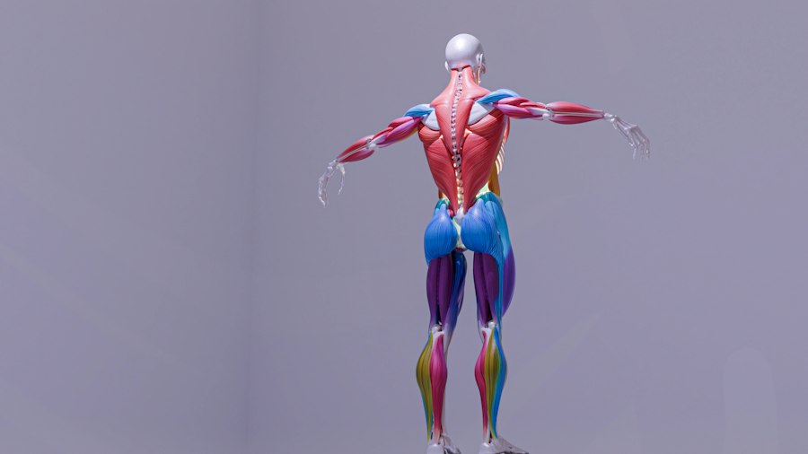 back and joint movement