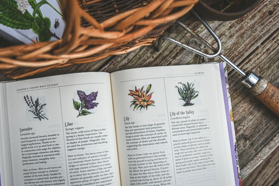 natural remedies guide