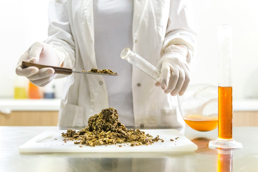 Photo natural remedies research analysis